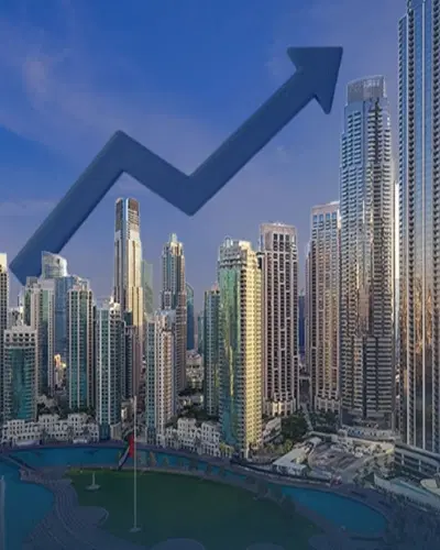 The Investors Are Looking For Studios And Apartments in 2024