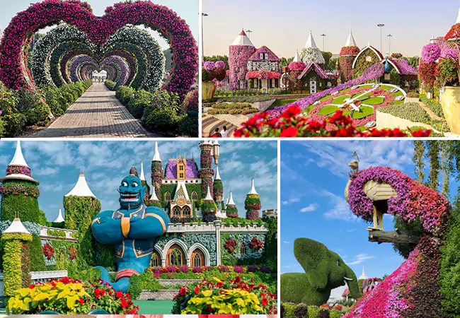 Dubai Miracle Garden