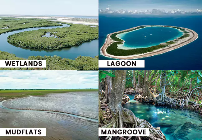 Sanctuaries Ecosystems 