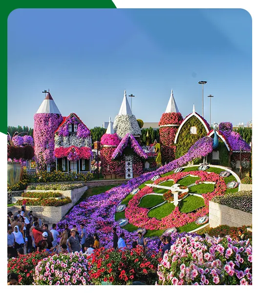 Things To Do In Miracle Garden Dubai